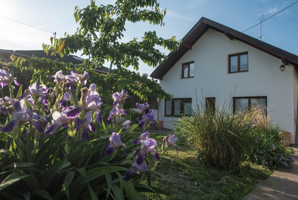 Apartments Osijek By The River 외부 사진